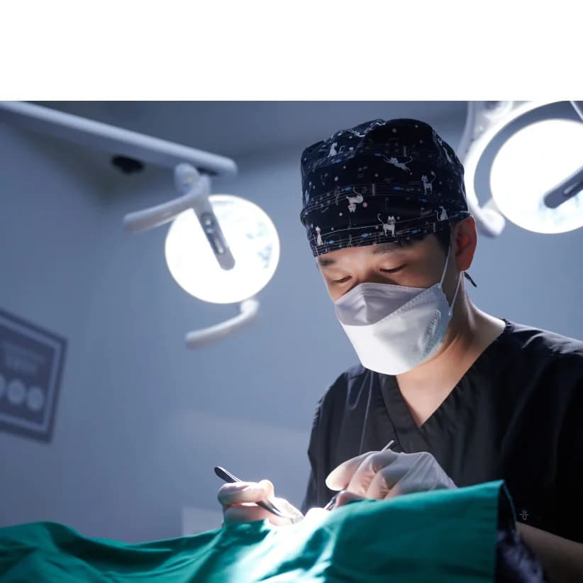 사랑니가 신경과 가깝다고 합니다 — 빼야 할까, 둬야 할까, 다른 방법은 없을까