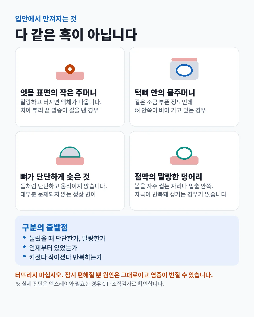 입안에서 만져지는 덩어리 네 가지 — 잇몸 표면의 작은 주머니, 턱뼈 안에서 자라는 물주머니, 뼈가 단단하게 솟은 것, 점막의 말랑한 덩어리.